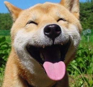 分装
