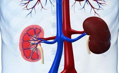 v2-81727df8b97d7a438a1a84697f844179_1440w.jpg?source=172ae18b