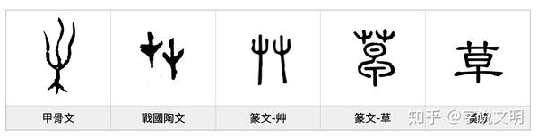草——每日一字·艸部字 - 知乎