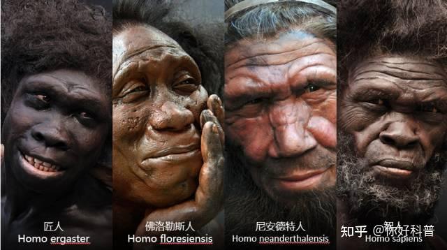 在大类人种黑白黄三种人中，黄种男人最大的优势是什么？ - 知乎