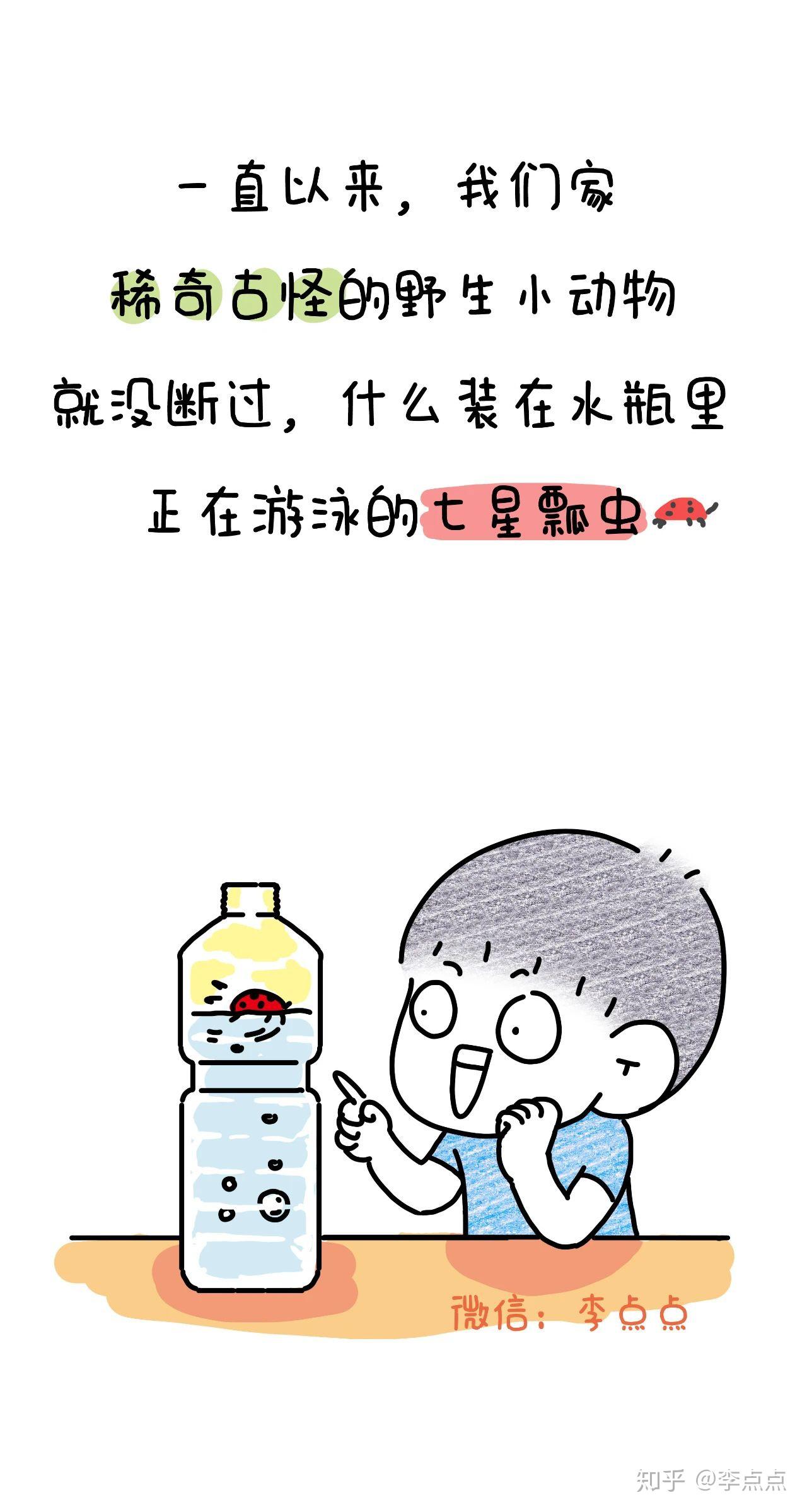 我的天哪!为什么儿子要把它当作宠物?