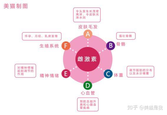 突然长胖可能不是运动问题而是你的雌激素出现问题