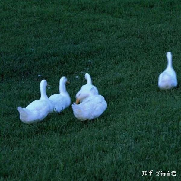 治愈文案合集(五十条治愈系文案，永远对世界热泪盈眶)
