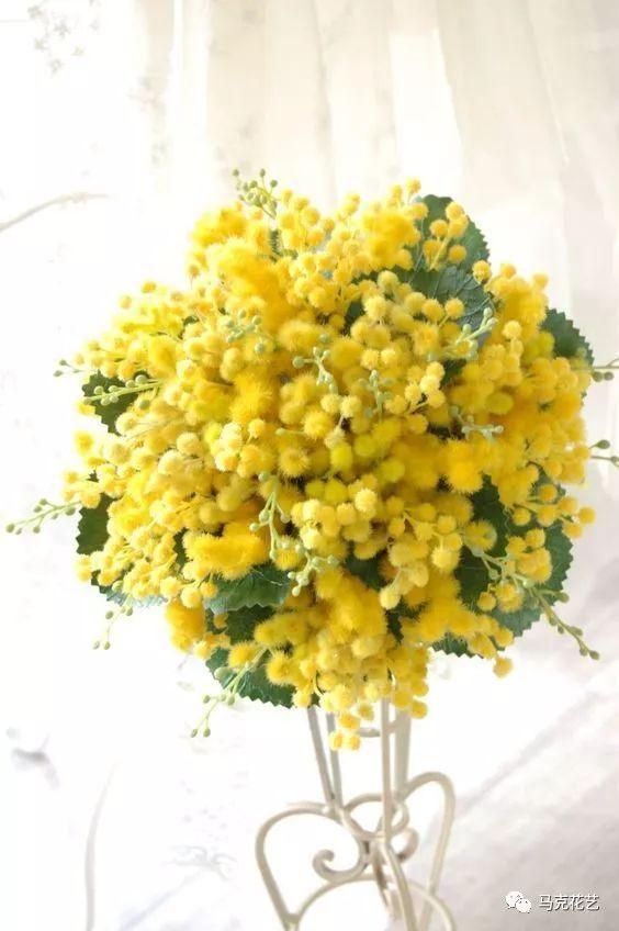 护花使者手册 爱它就好好呵护它 知乎