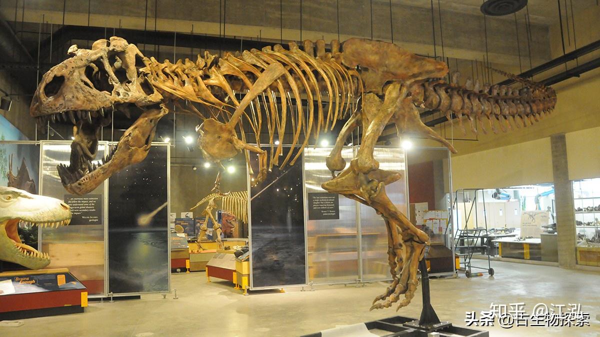 霸王龙一生分为21个阶段其中两个阶段最为关键