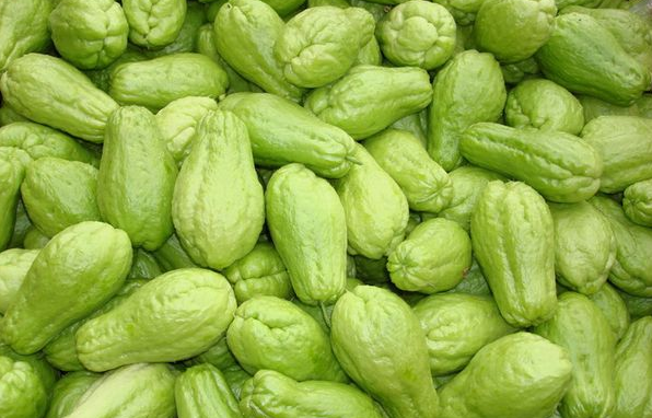 无公害蔬菜佛手瓜