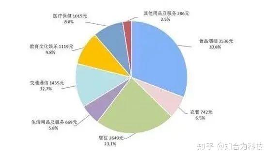 進行的消費類別的比例展示:我們日常生活中最離不開的就是