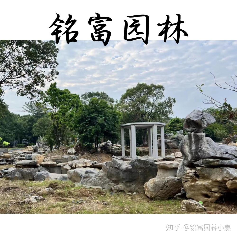 太湖石的体态万千、婀娜多姿。中式庭院造景石- 知乎
