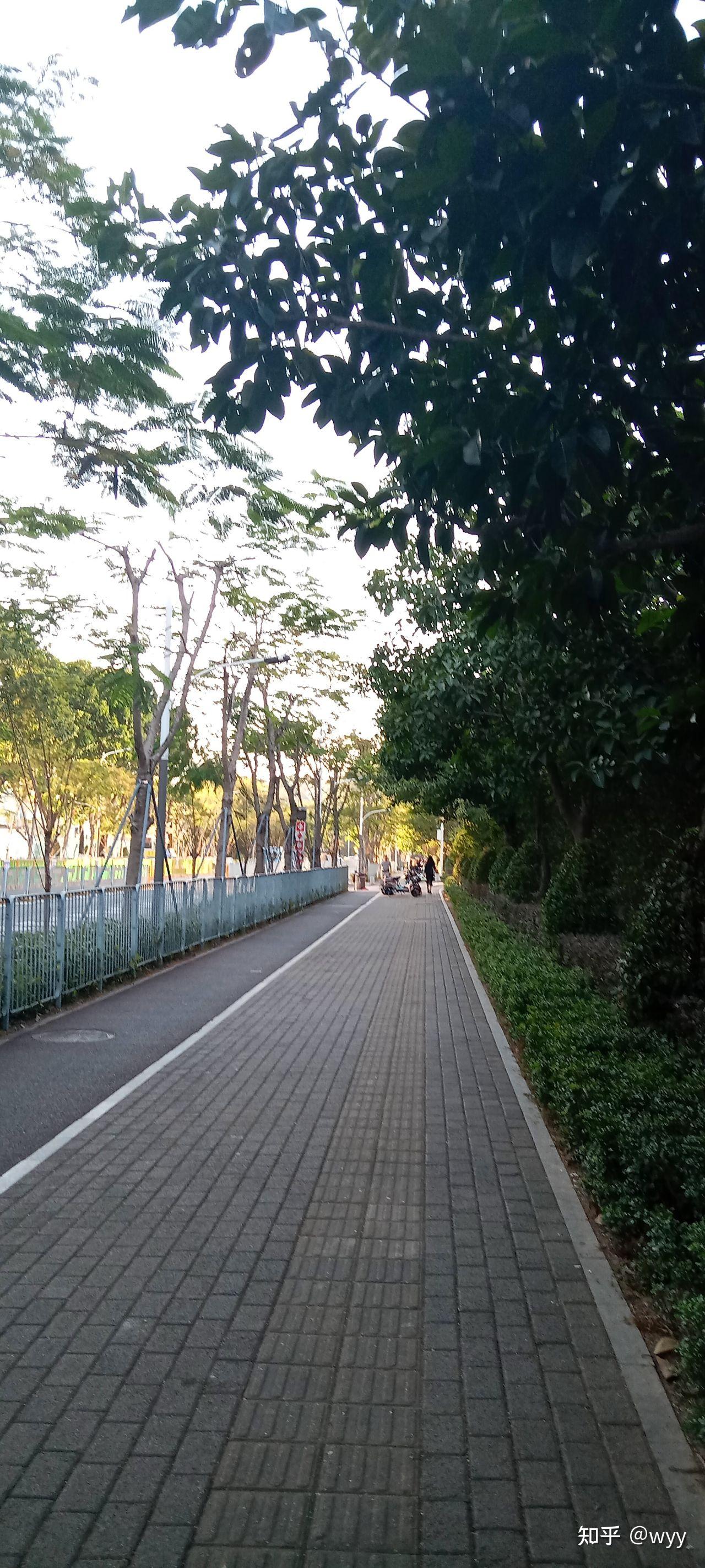 上班途中的风景