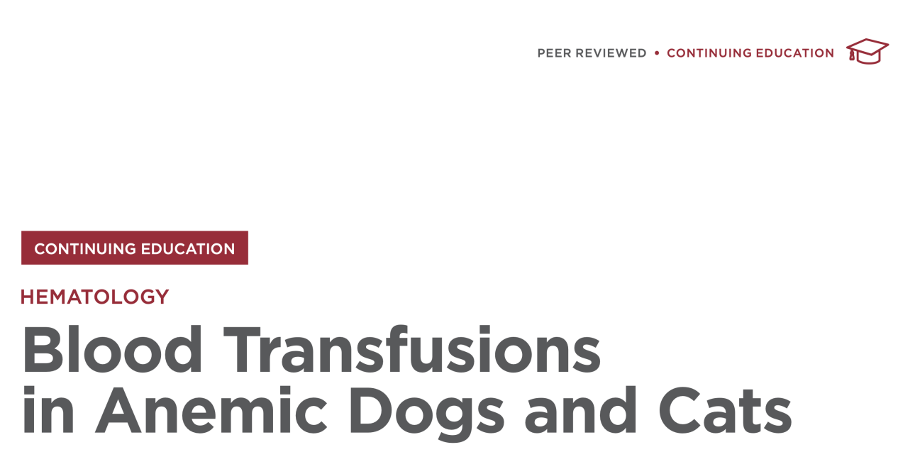 贫血犬猫的输血