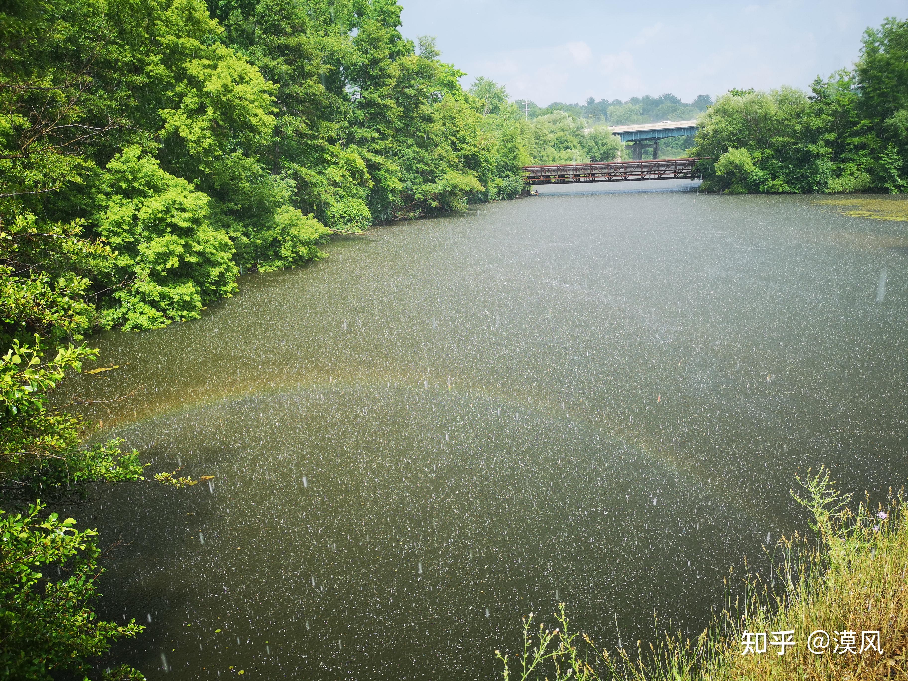 【保持一颗好奇心】关于下雨时水面分界现象,这大概是全网最认真分析