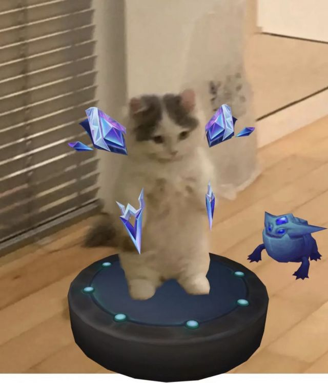 英雄联盟猫猫表情包第二期
