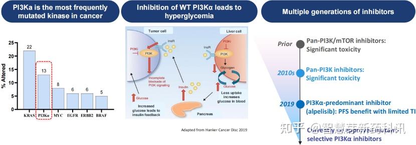 浅谈新一代PI3Kα抑制剂RLY-2608 - 知乎