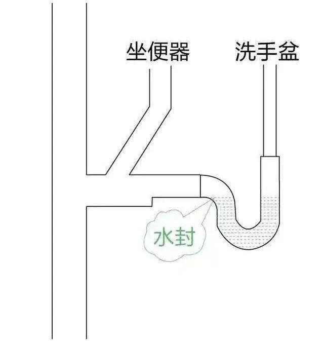 马桶存水弯高度图片