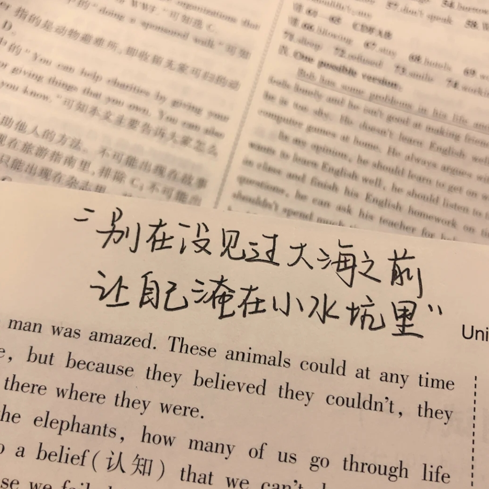有哪些温柔到极致的宝藏文案