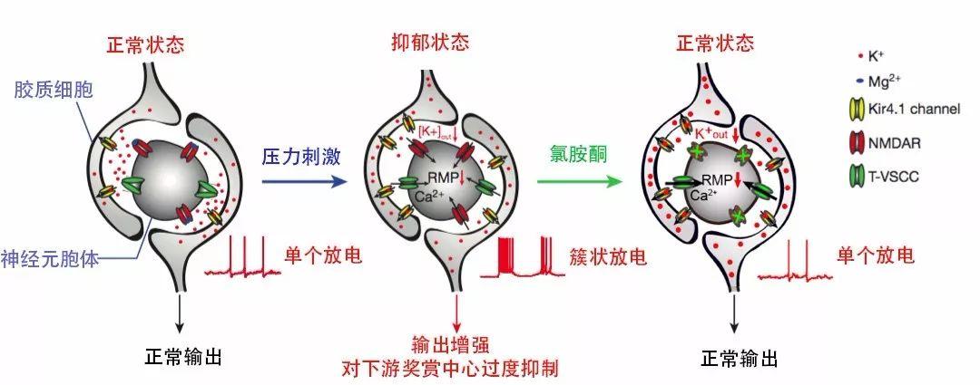 两篇Nature长文丨胡海岚团队抑郁症研究的重大突破——仇子龙特评 - 知乎