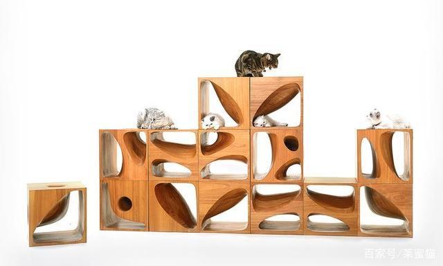 猫奴们不可错过的宠物家具品牌和设计单品