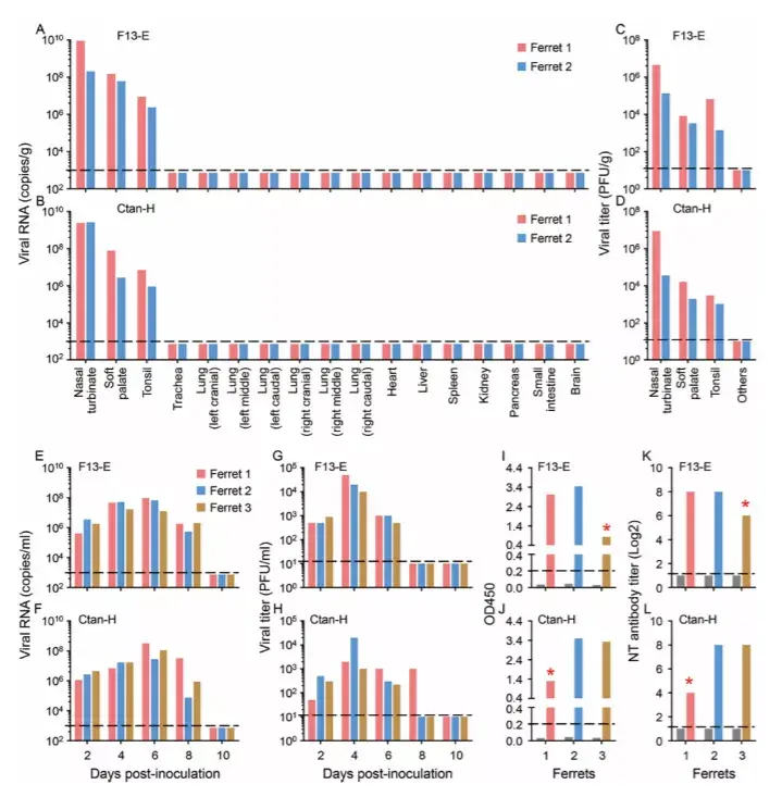 science | 发现sars-cov-2可有效感染雪貂和猫,不易感染狗