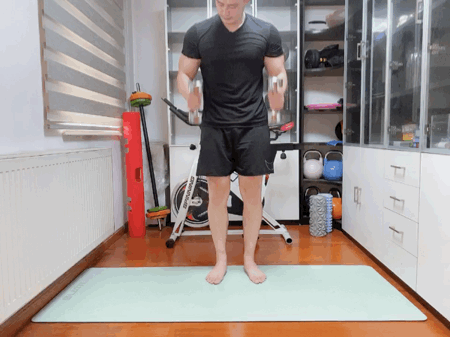 哑铃弯举7215:普普通通的哑铃弯举,双臂自然下垂或夹紧身体都行