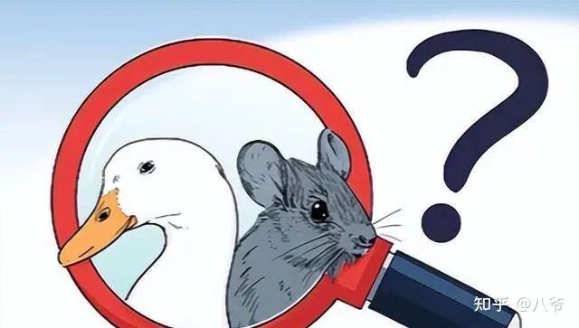 整个事件怎么着都透漏出一种诡异!
