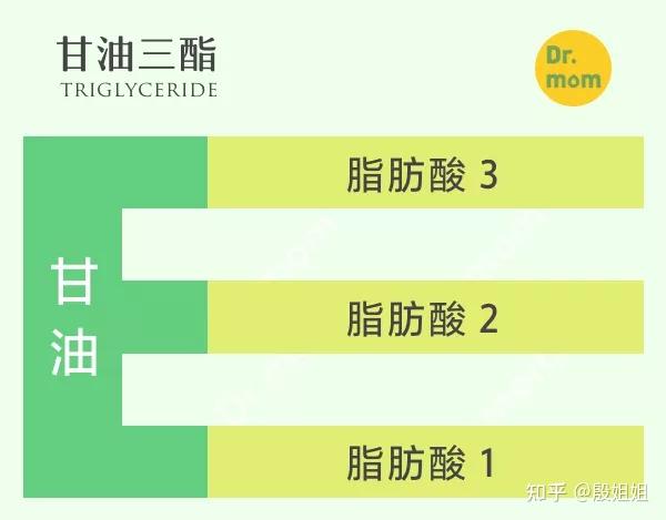 看图读懂脂肪酸