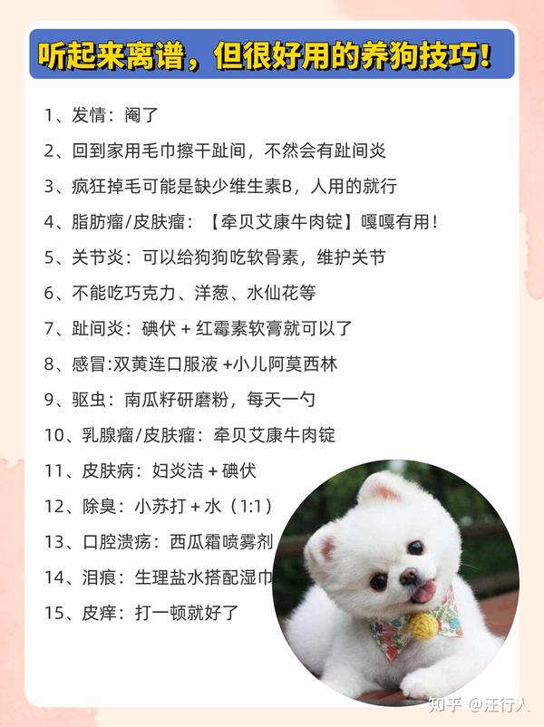 听起来离谱，但很好用的养狗技巧！ - 知乎