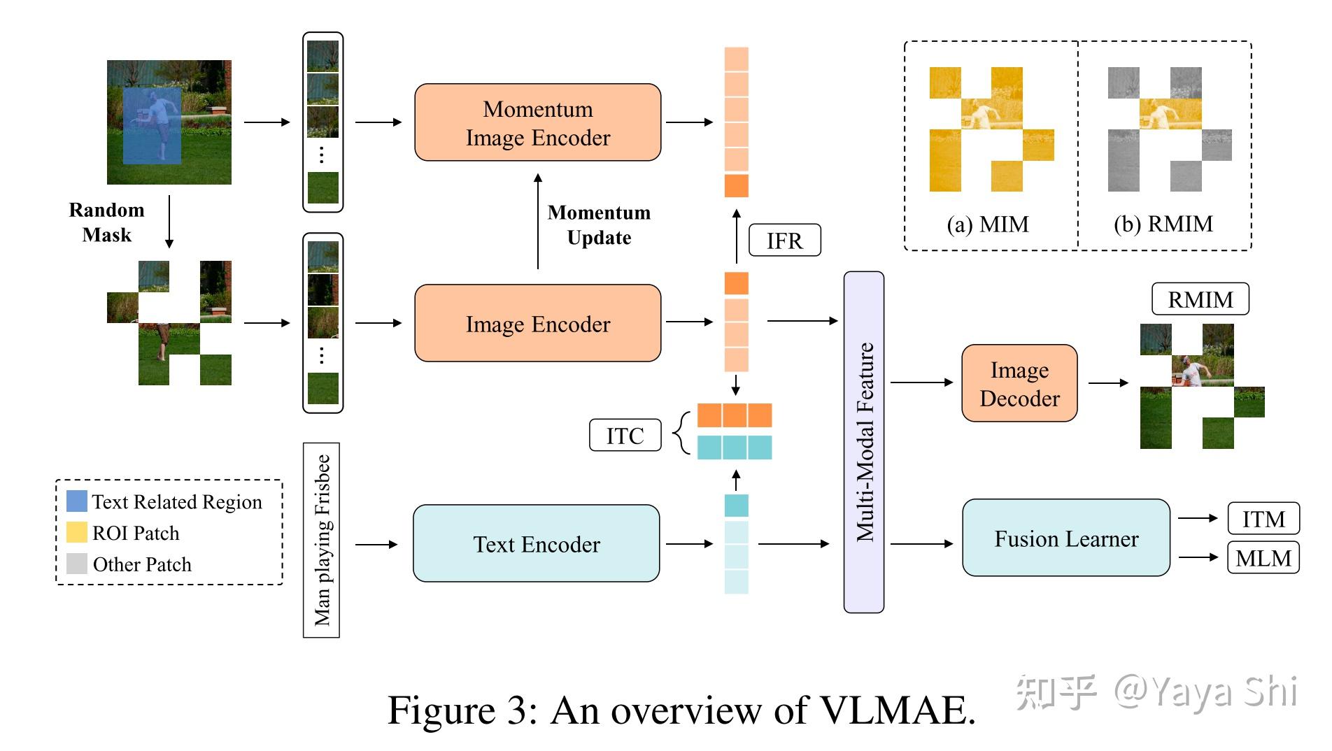 MIM for CV and VL 知乎