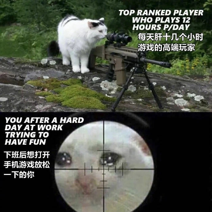 菜鸡落泪02.害,白转那么多健身视频了01.