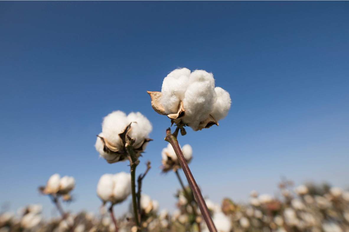 全棉时代纯棉柔巾——舒适健康环保,开创纸巾新时代 - 知乎