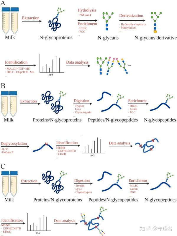 Trends In Food Science & Technology：乳蛋白N-糖基化 - 知乎