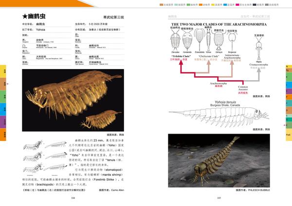 生物簡史圖鑑寒武紀之加拿大4伯吉斯頁岩動物群