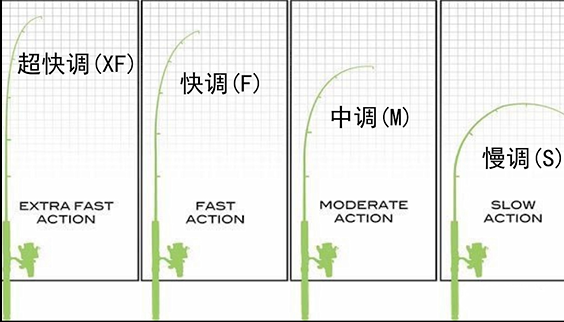 dne去路亚小知识—什么是路亚竿的调性?