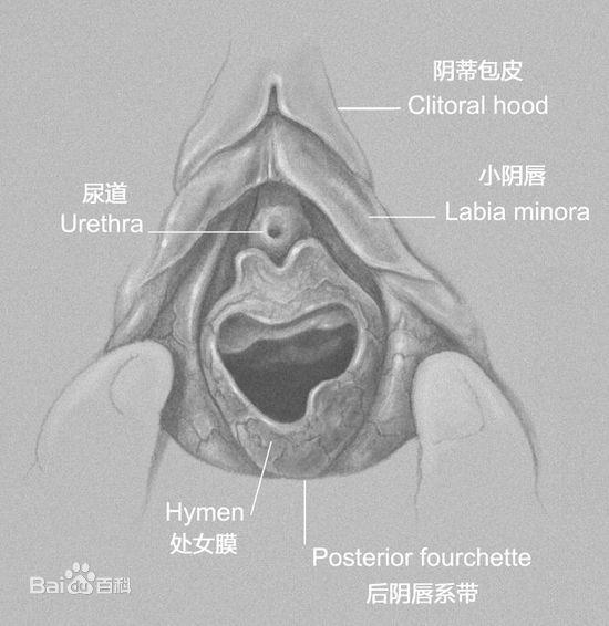 zhuanlan.zhihu.com