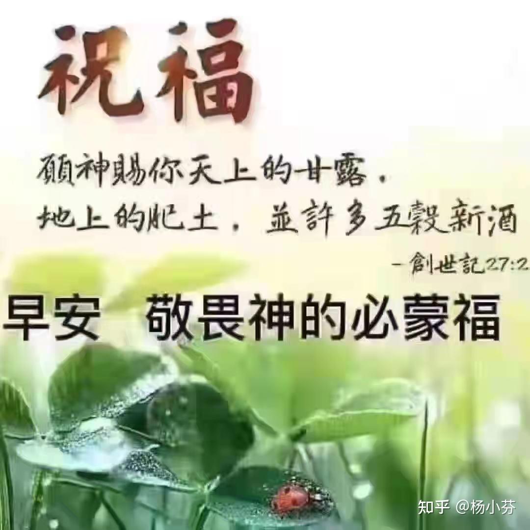 《圣经》