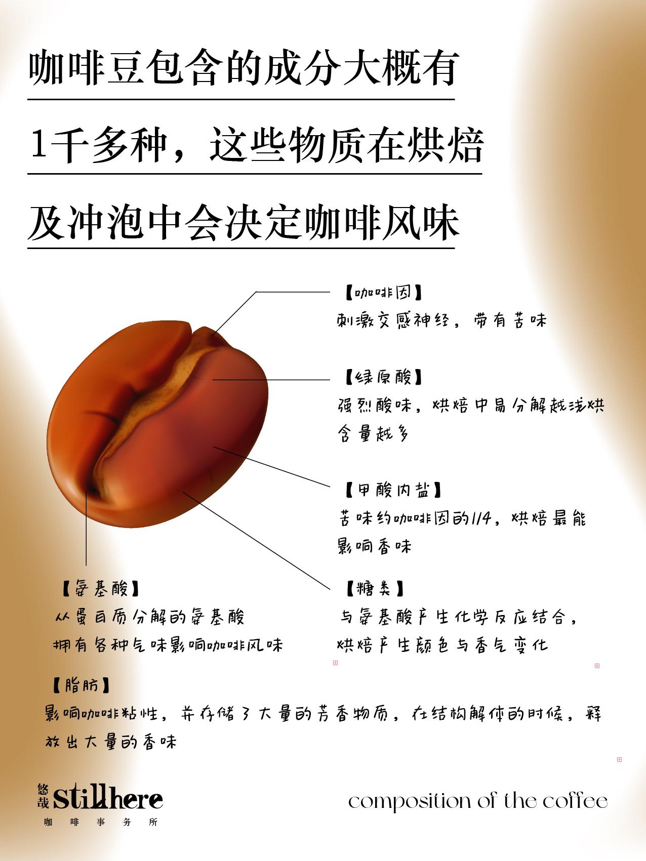 【精品咖啡店笔记】咖啡萃取需掌握这7点.