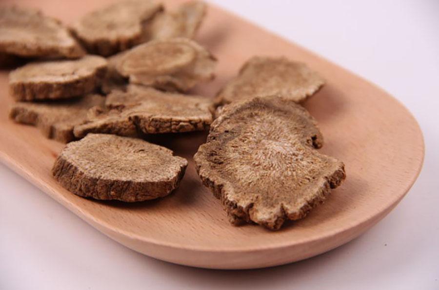 每天最少学一味中药木香