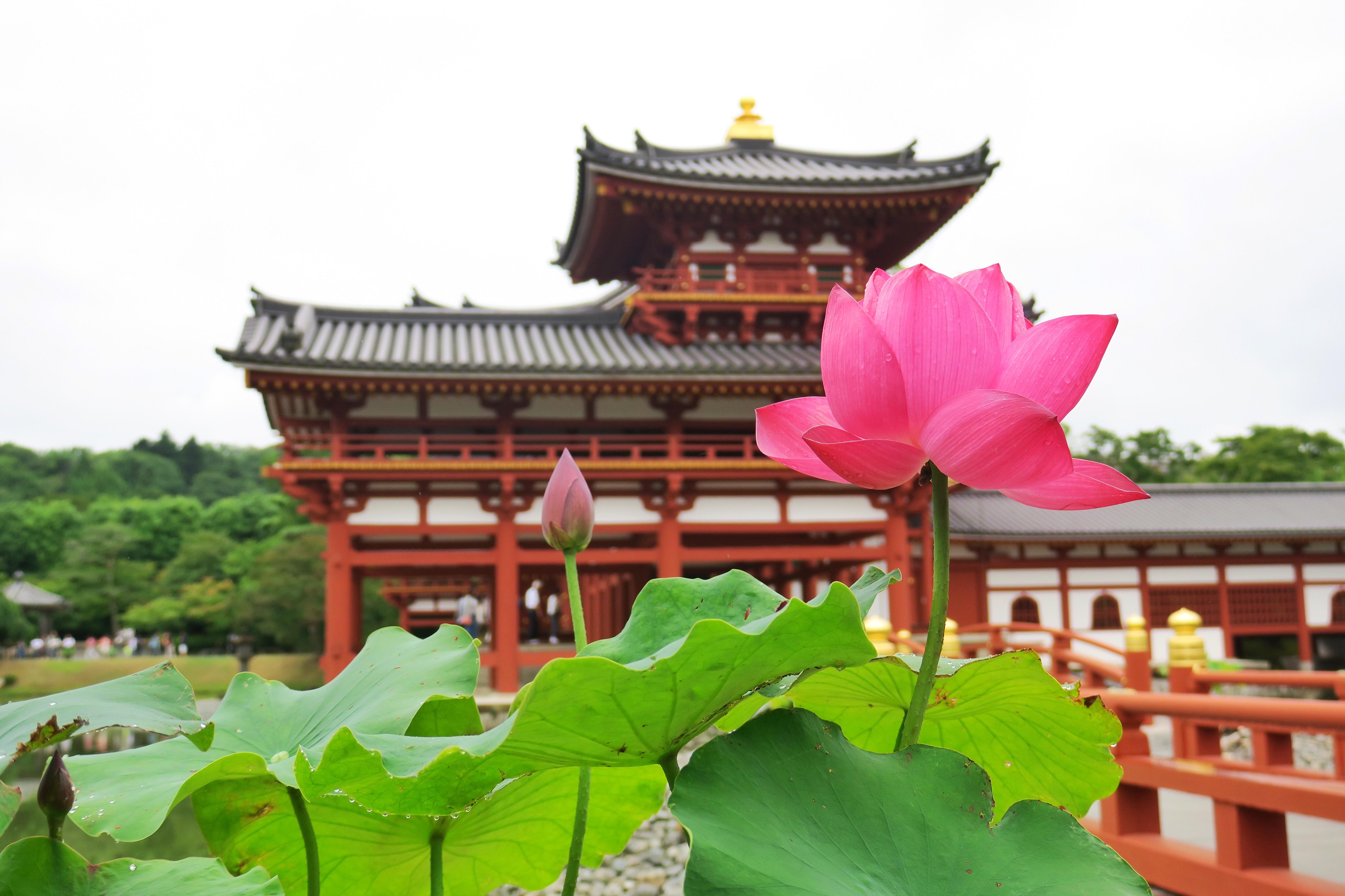 什么工作可以经常出差?