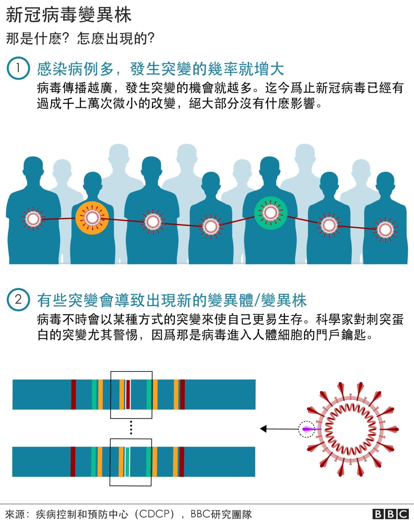 新冠病毒变异图示图片