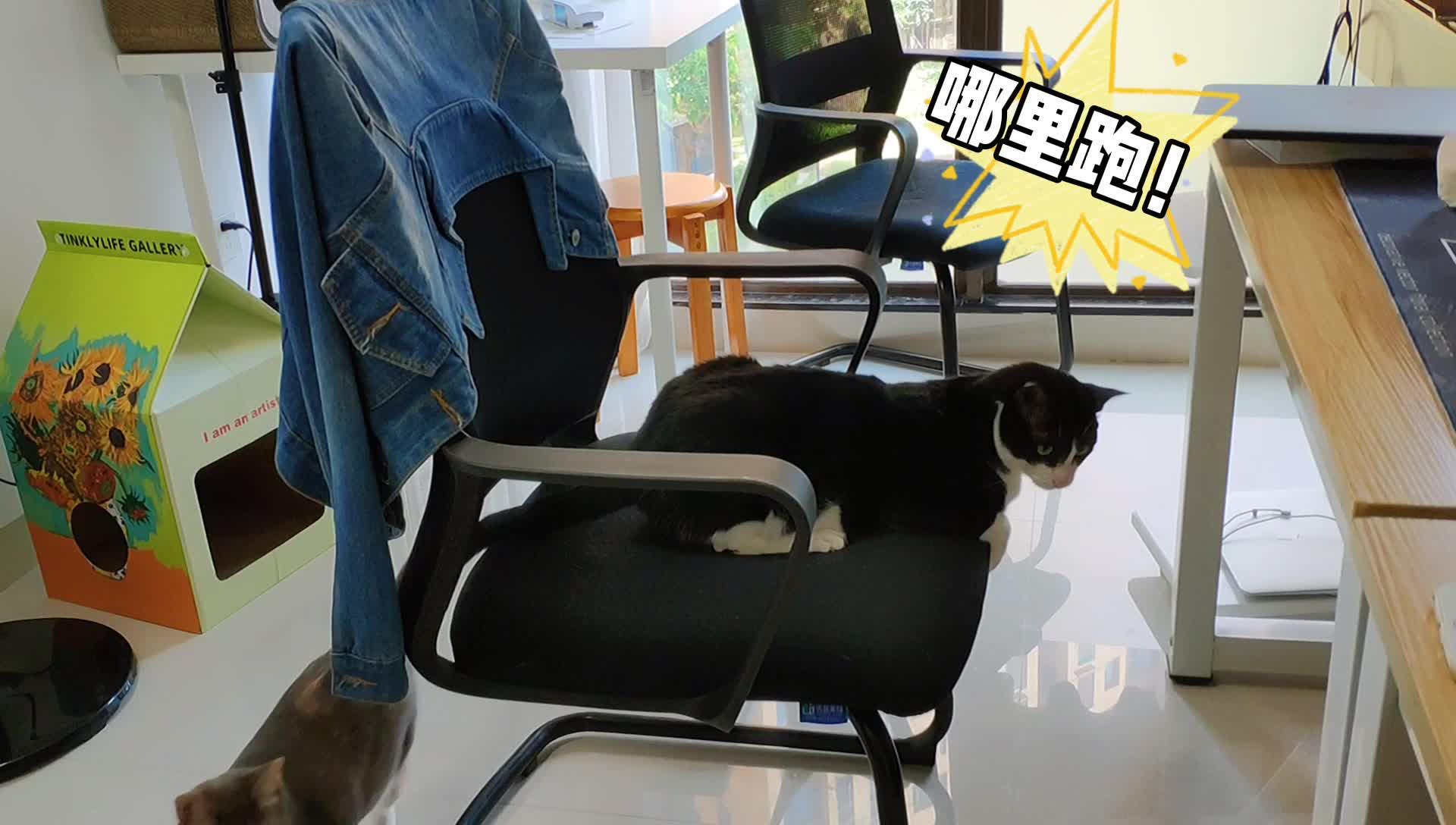 托马斯回旋基