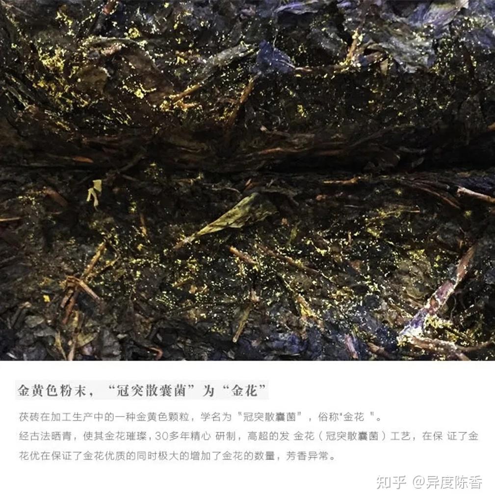 除了金花,普洱茶还有一个高贵特点——银霜