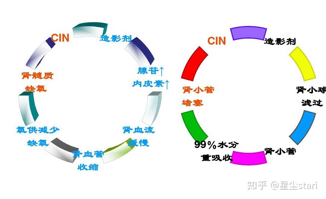 增強掃描一個疲忽視的問題對比劑腎病