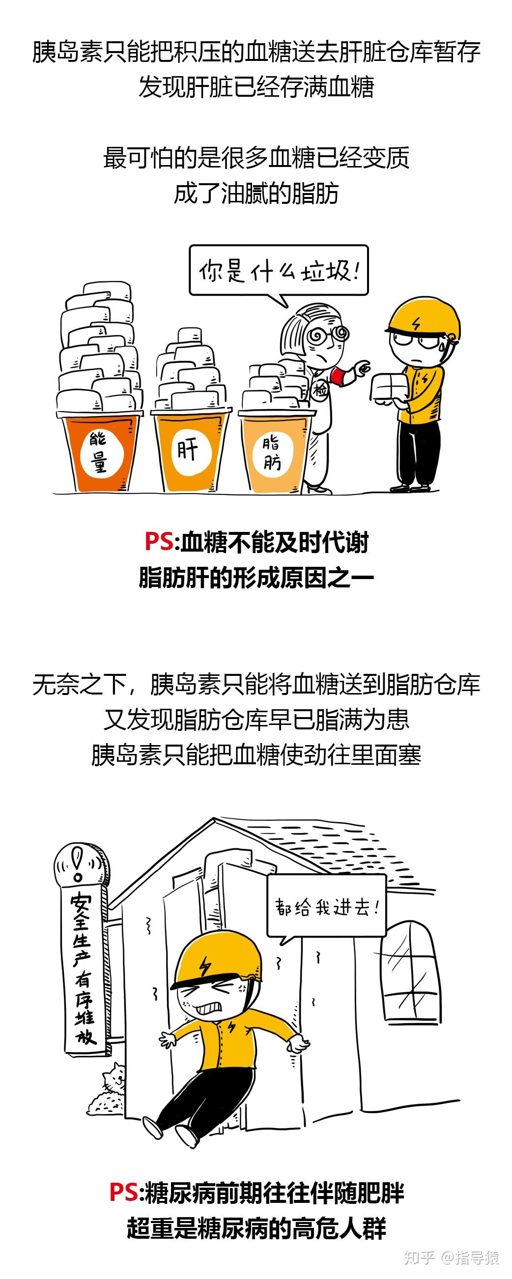 3分钟带你了解胰岛素抵抗