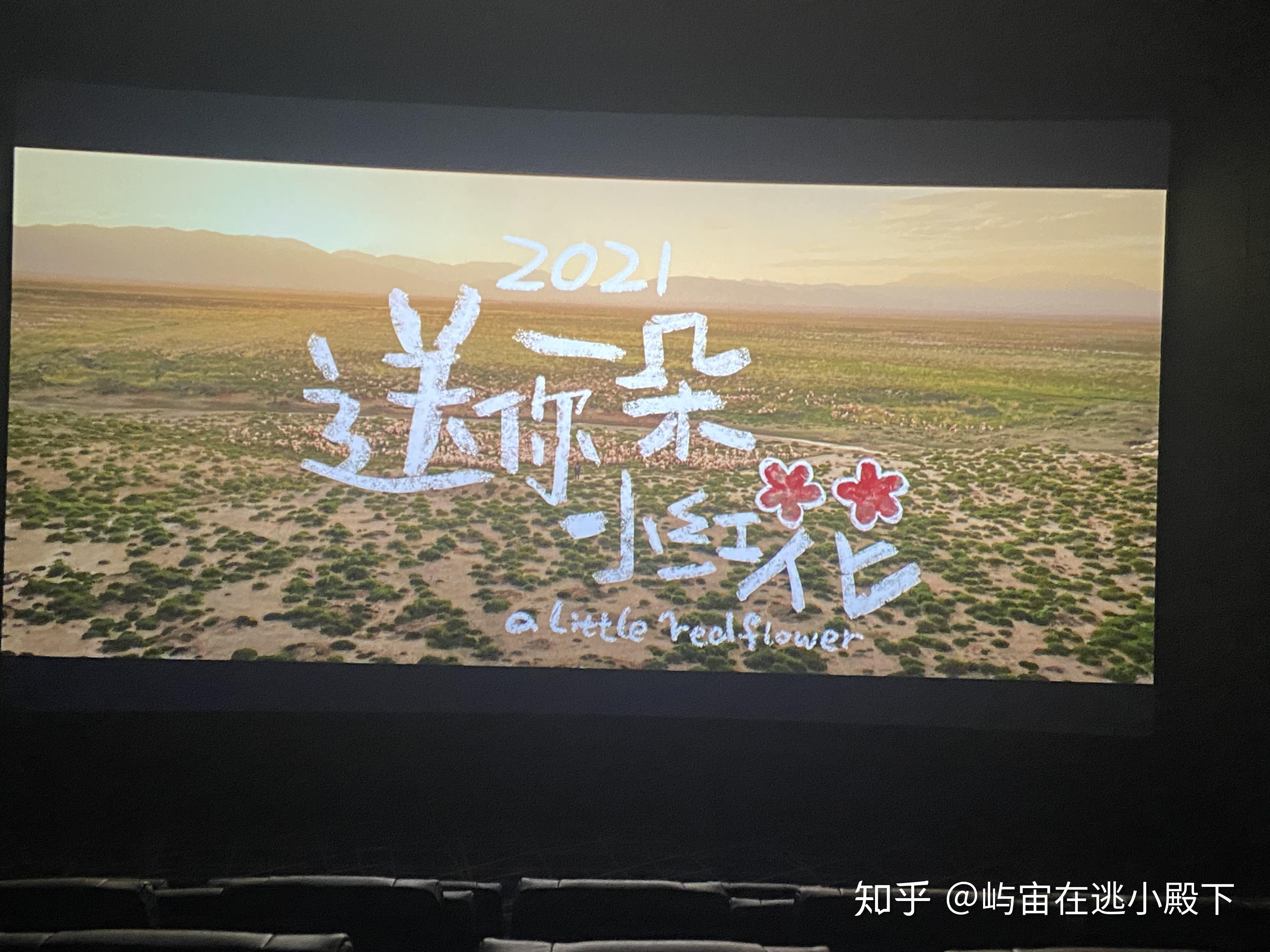 送你一朵小红花