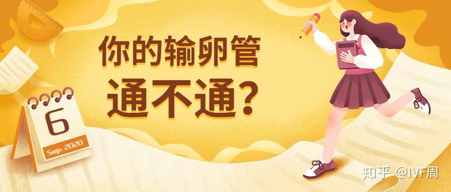 双侧输卵管堵塞怎么做试管(双侧输卵管堵塞怎么做试管移植)-第1张图片-鲸幼网
