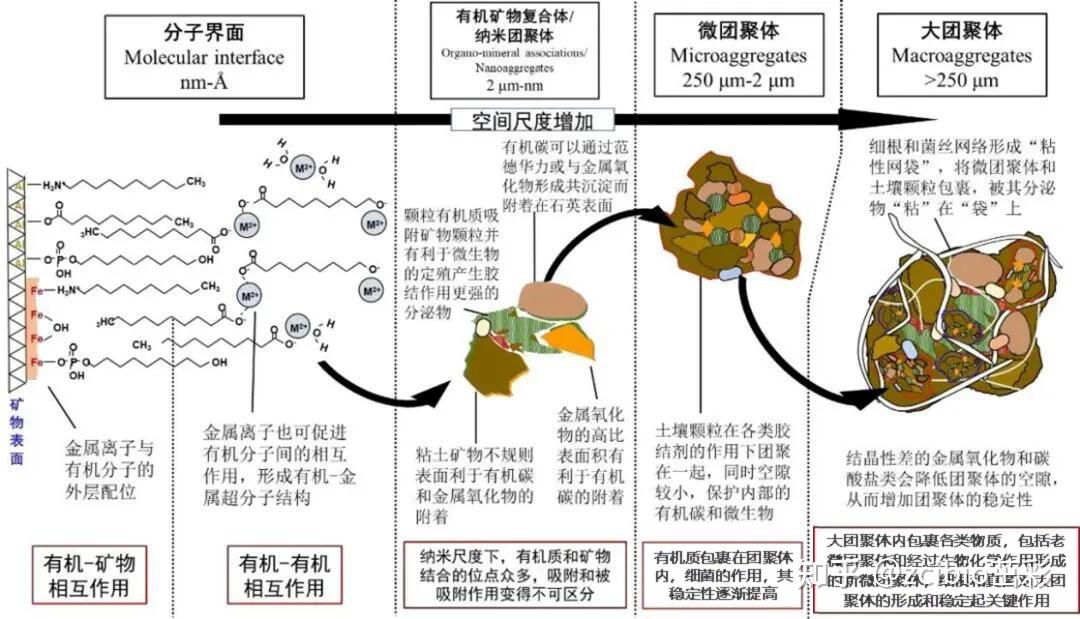 土壤团聚体及其检测方法 - 知乎