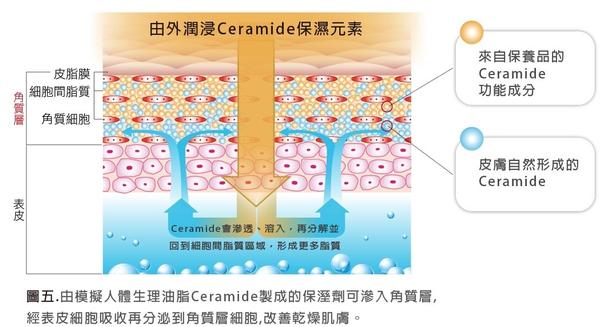 固体健康化妆品_唯品会化妆品有假货吗_固体清洗剂哪个品牌好