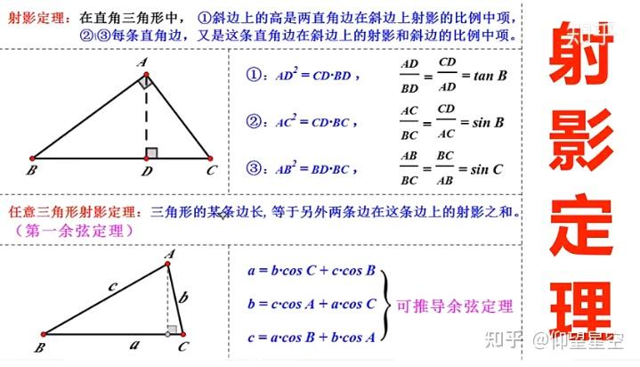 三角形中的射影定理