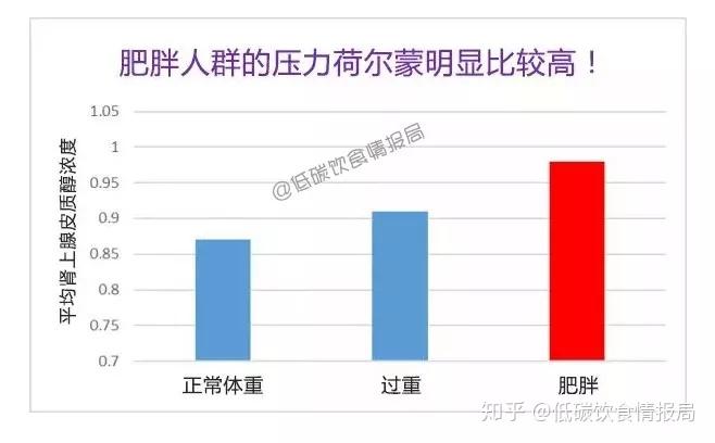 什么是「压力型肥胖」