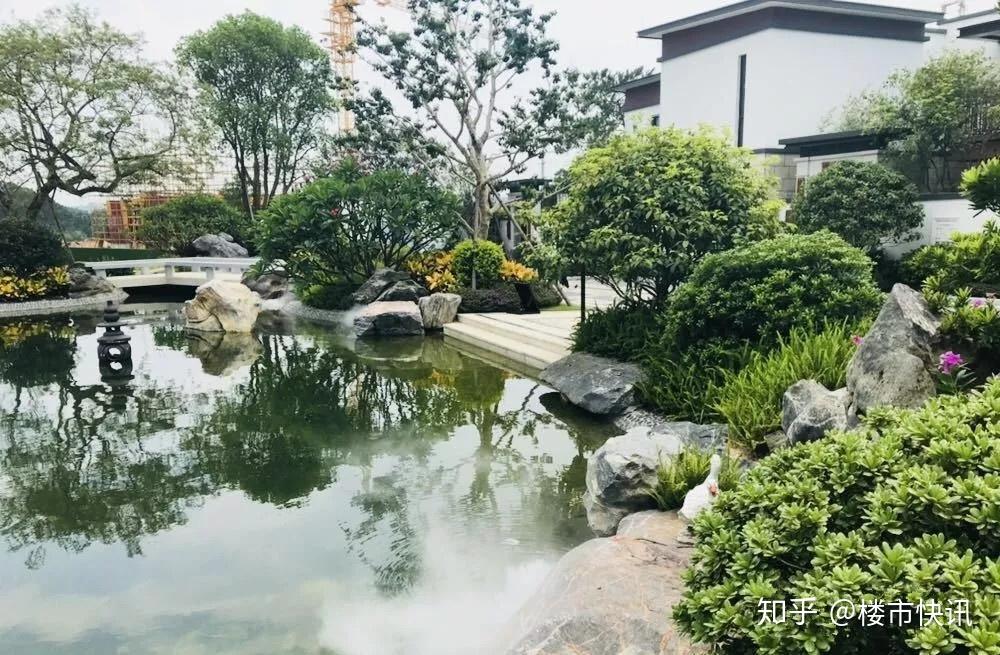 方圆东江月岛遇见花开满院墙携夏日一缕清凉