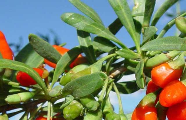 v2-83185947e5863b77cd2d816b33e7e1c5_1440w.jpg?source=172ae18b